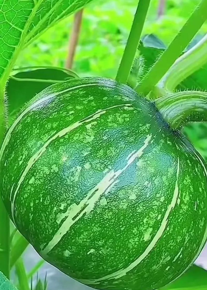 投币点唱机多少钱一台