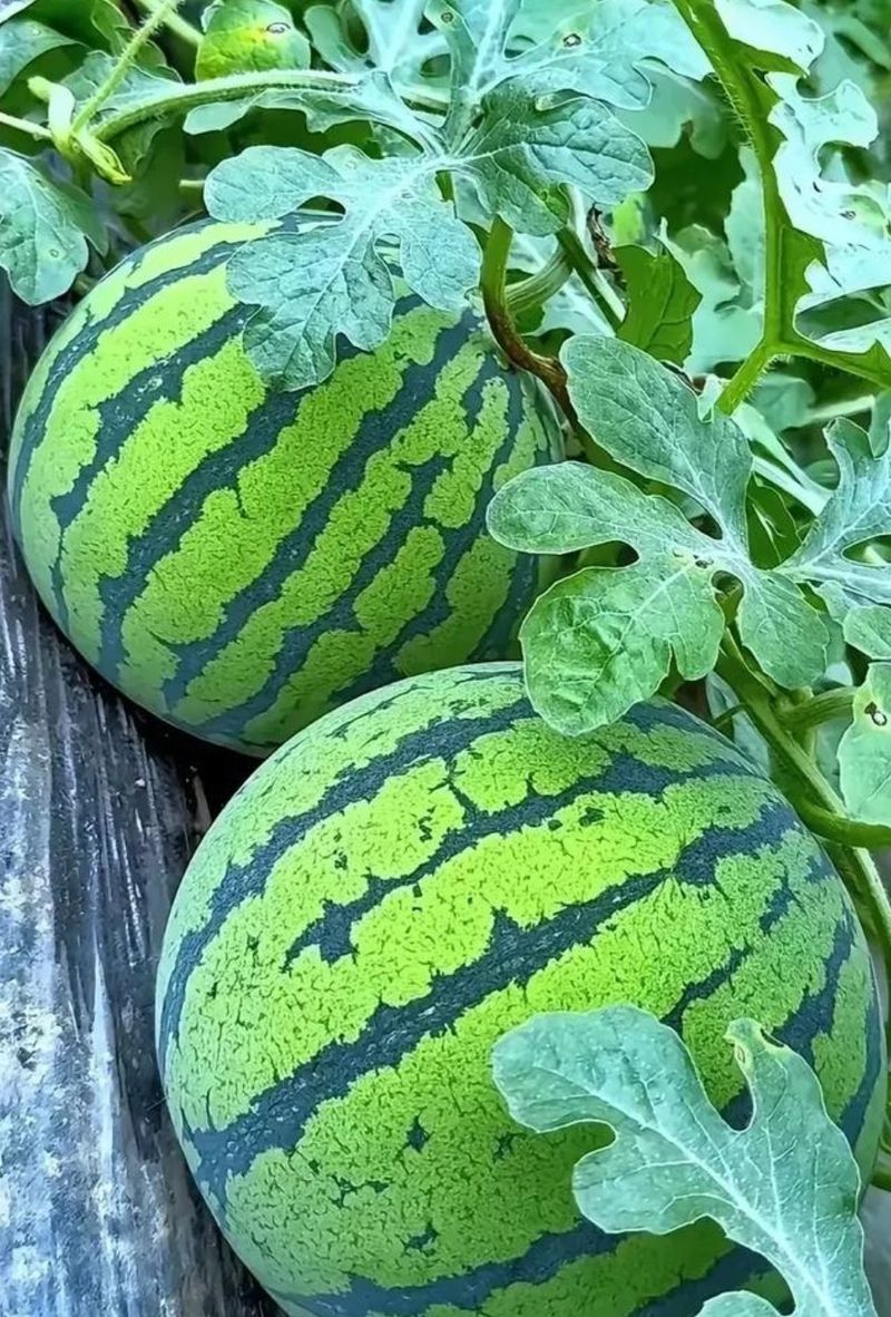 投币点唱机多少钱一台