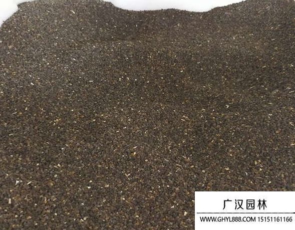 飞燕草种子种植方法