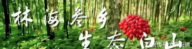 扫黄打非知识问答