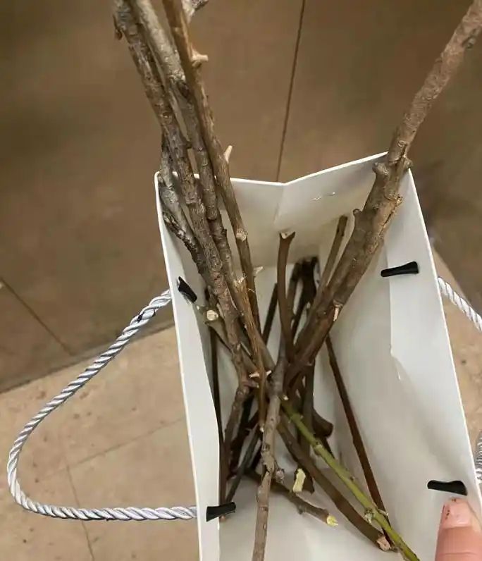 自制大花盆方法及图片