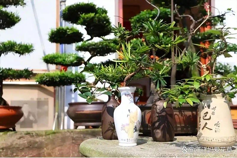 自制大花盆方法及图片