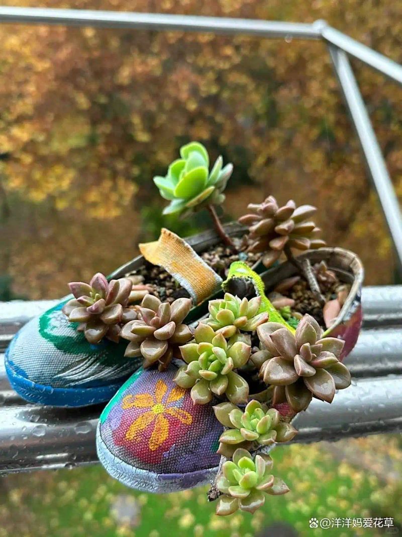 自制大花盆方法及图片