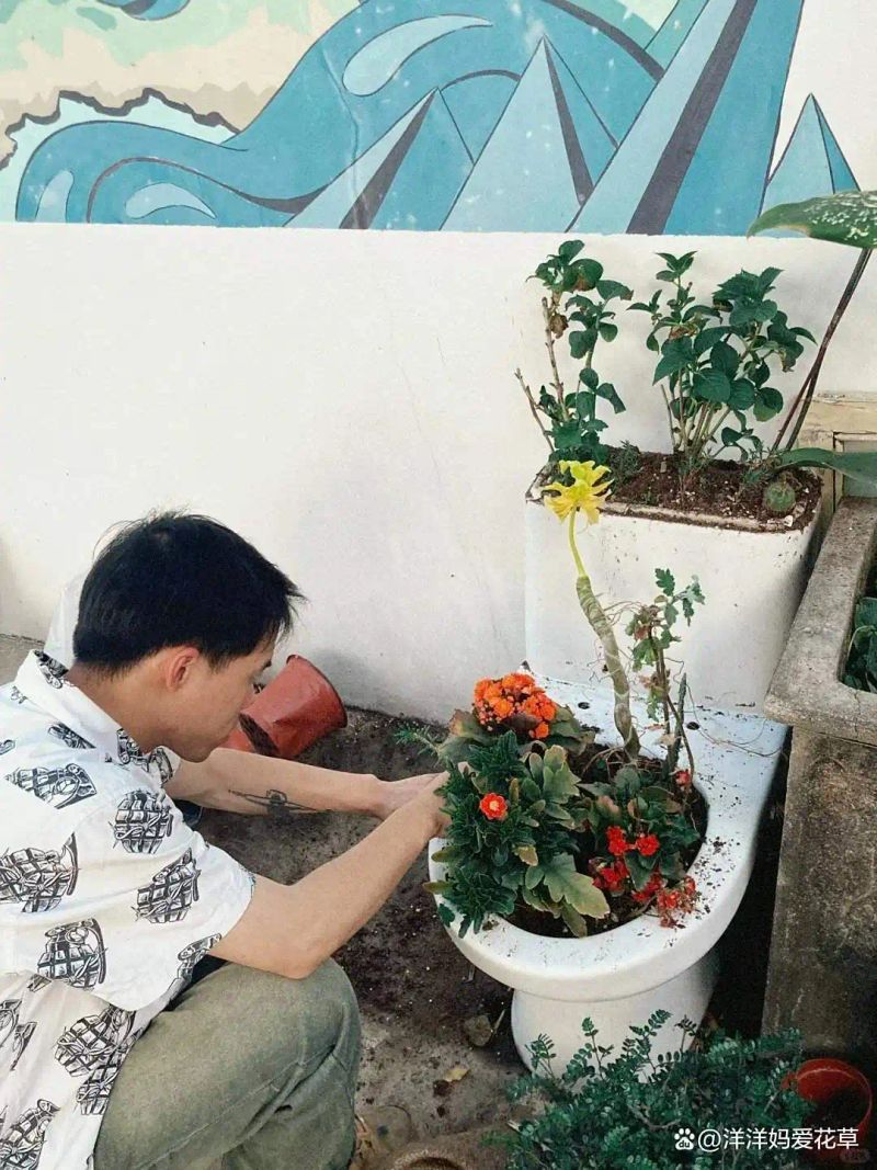 自制大花盆方法及图片