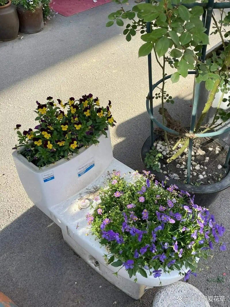 自制大花盆方法及图片
