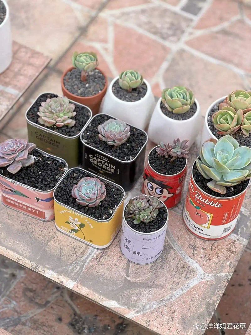 自制大花盆方法及图片