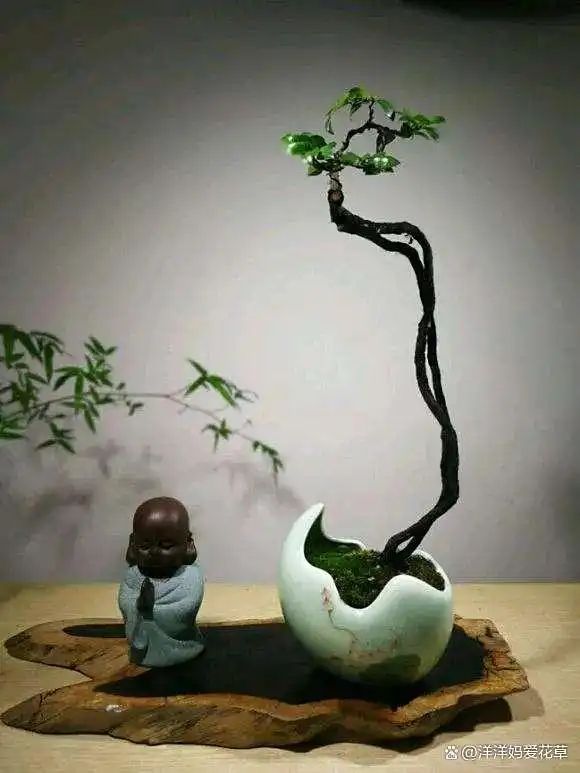 自制大花盆方法及图片