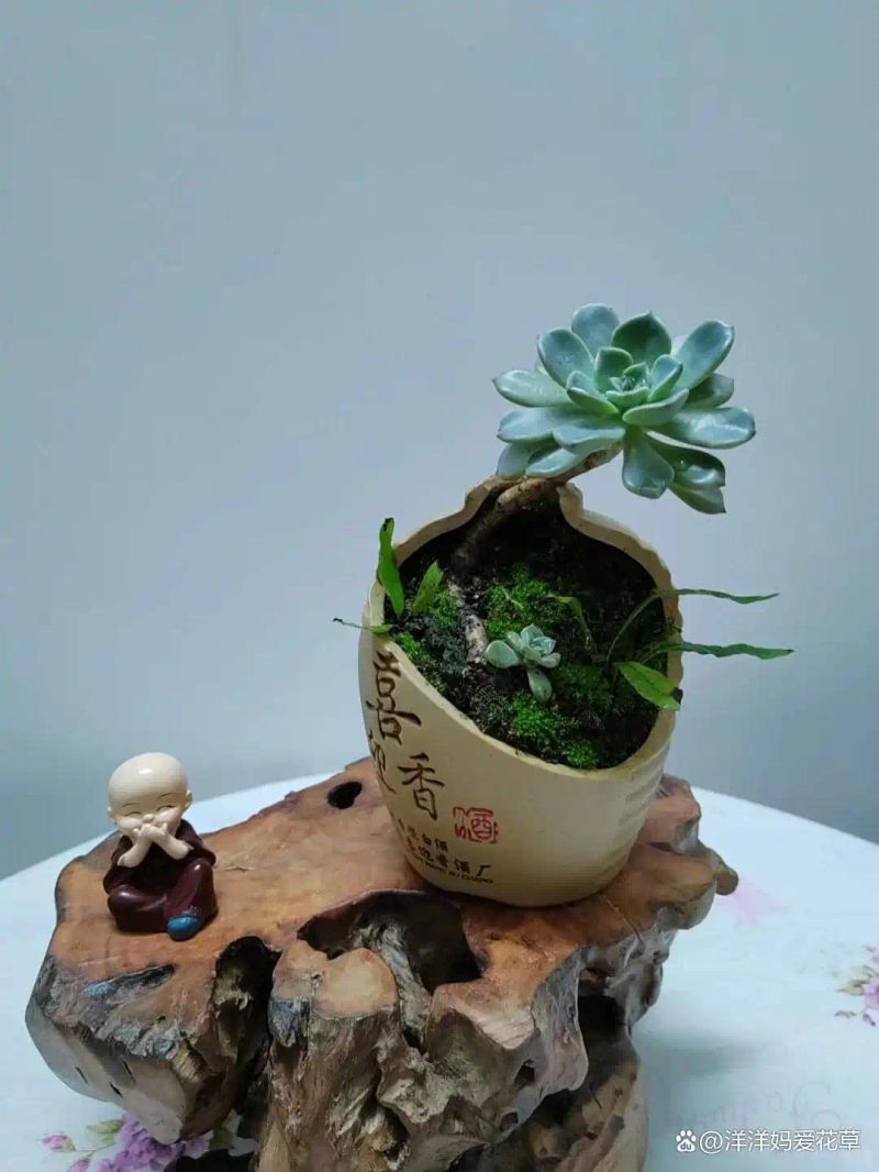自制大花盆方法及图片