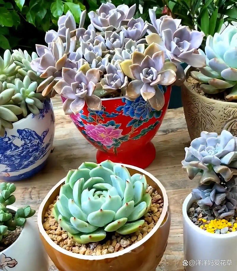 自制大花盆方法及图片