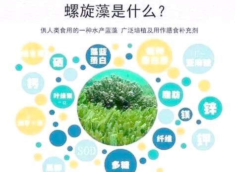 螺旋藻多少钱