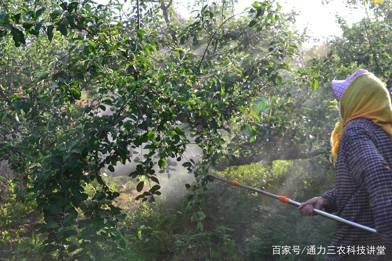 果树种植需要哪些技术