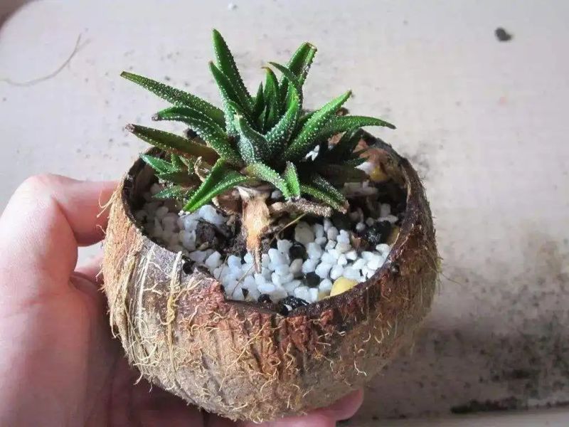 自制大花盆方法及图片