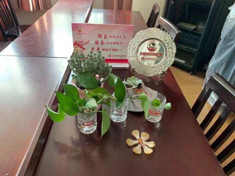 自制大花盆方法及图片