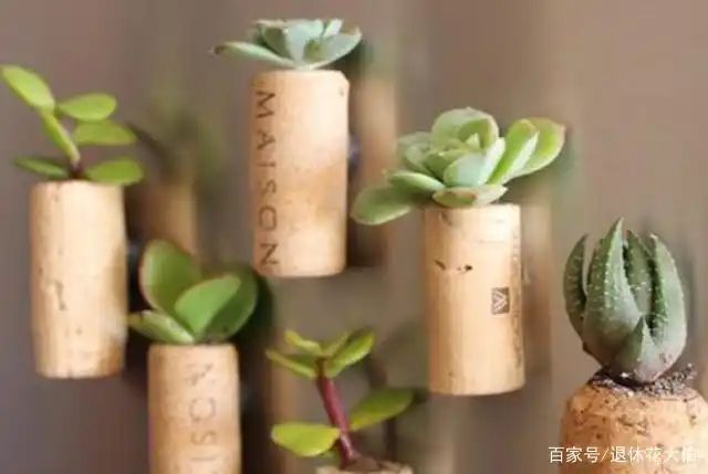 自制大花盆方法及图片