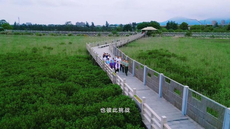 网上海洋知识竞赛