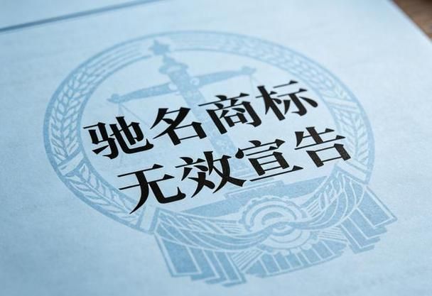 国际知识产权