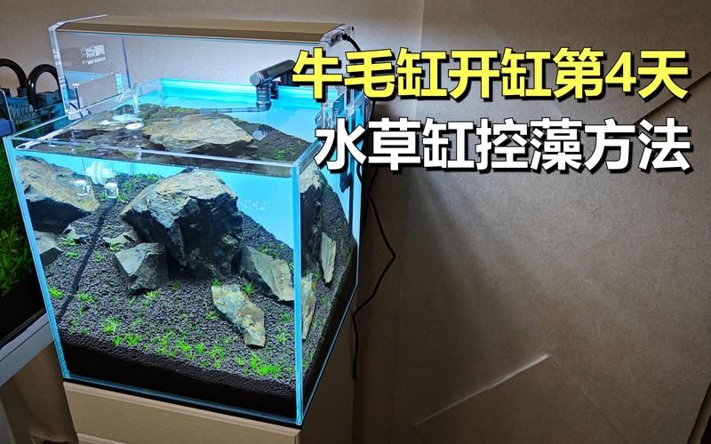 草缸低成本配滤材 + 懒人控藻干货｜全程接地气、省钱不折腾