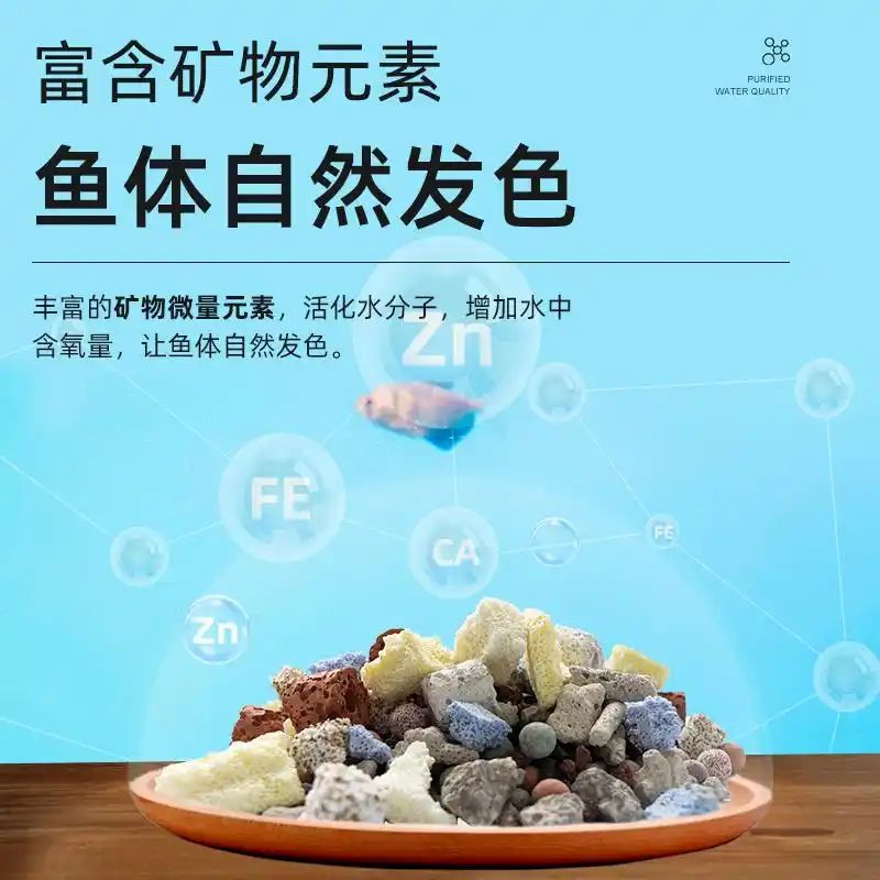 鱼缸养鱼知识全