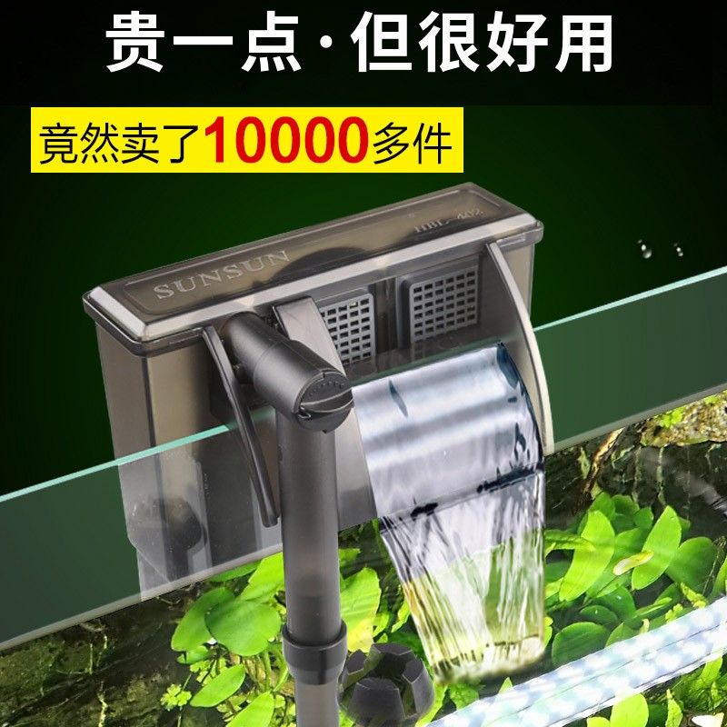 鱼缸养鱼知识全