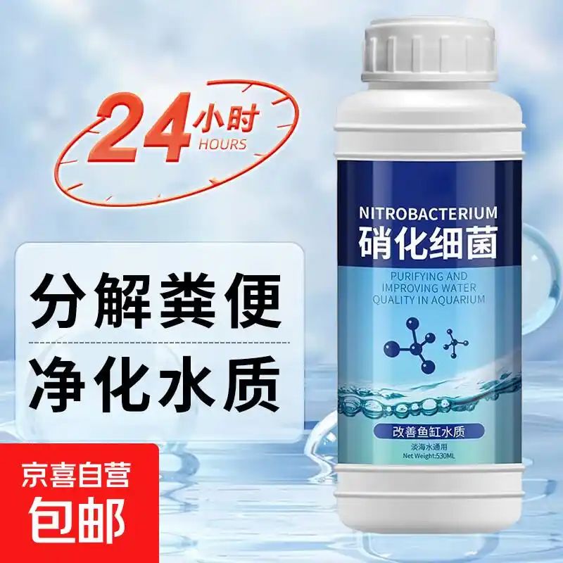 鱼缸养鱼知识全