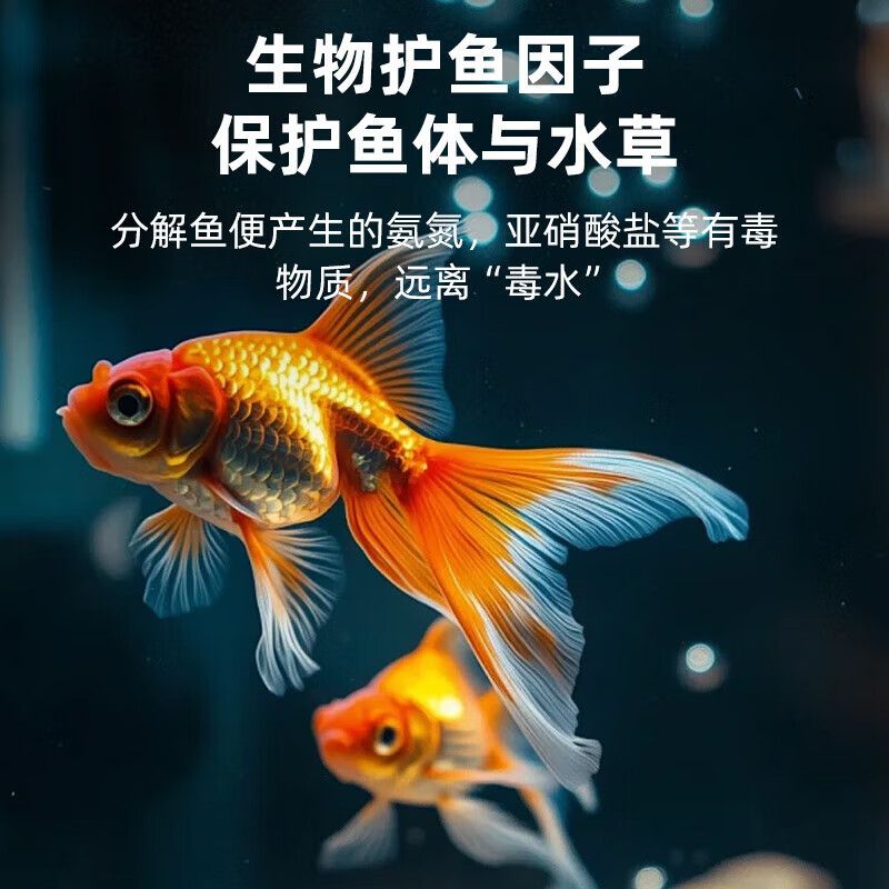 鱼缸养鱼知识全