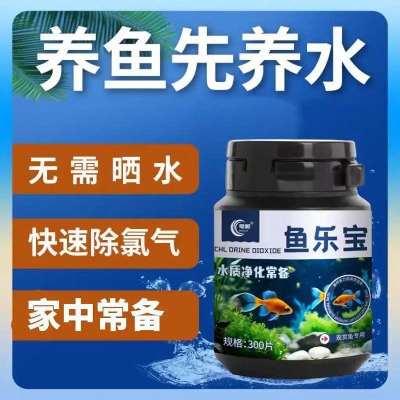 鱼缸养鱼知识全