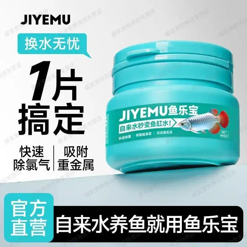 鱼缸养鱼知识全