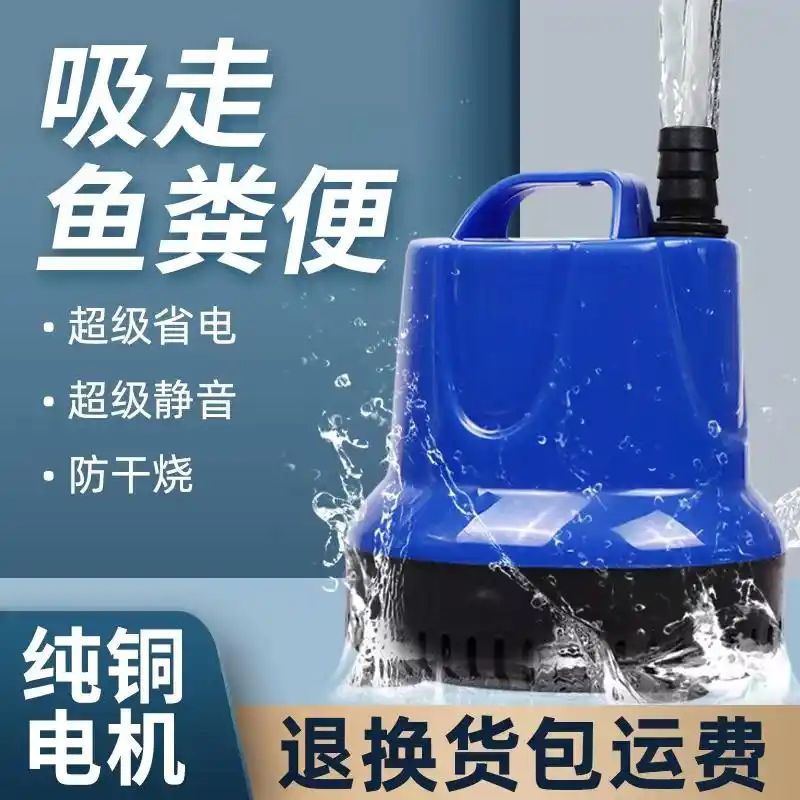 鱼缸养鱼知识全