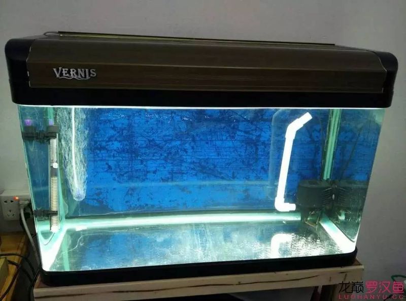 底滤鱼缸原理