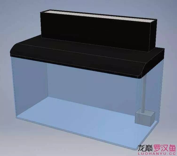 底滤鱼缸原理