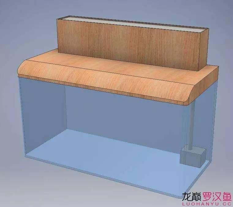 底滤鱼缸原理