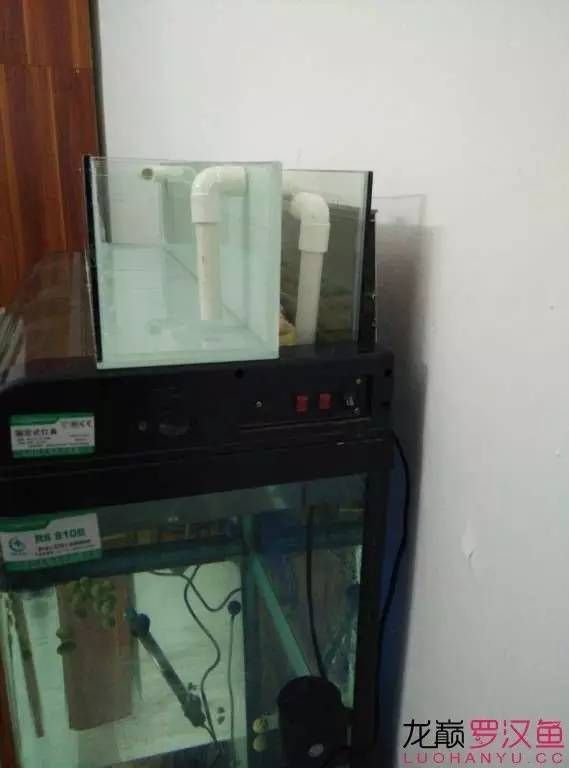 底滤鱼缸原理