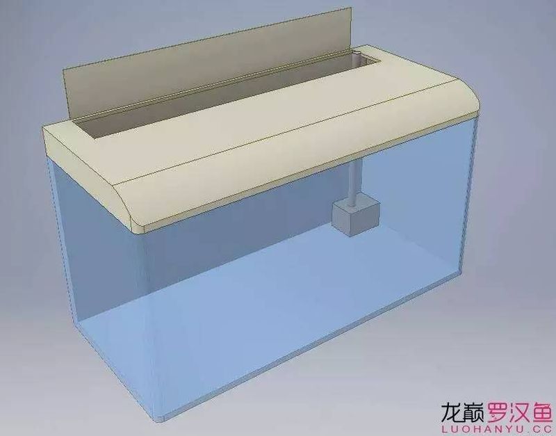 底滤鱼缸原理