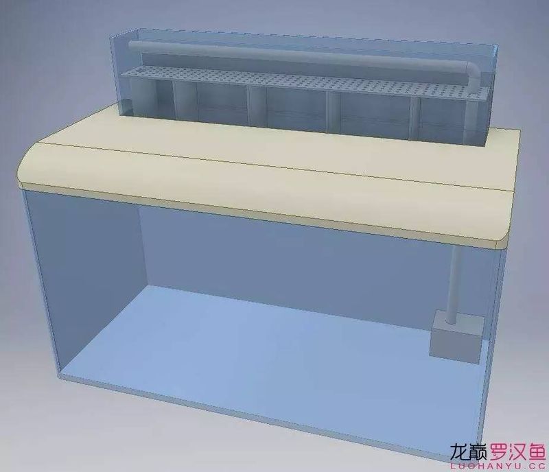 底滤鱼缸原理
