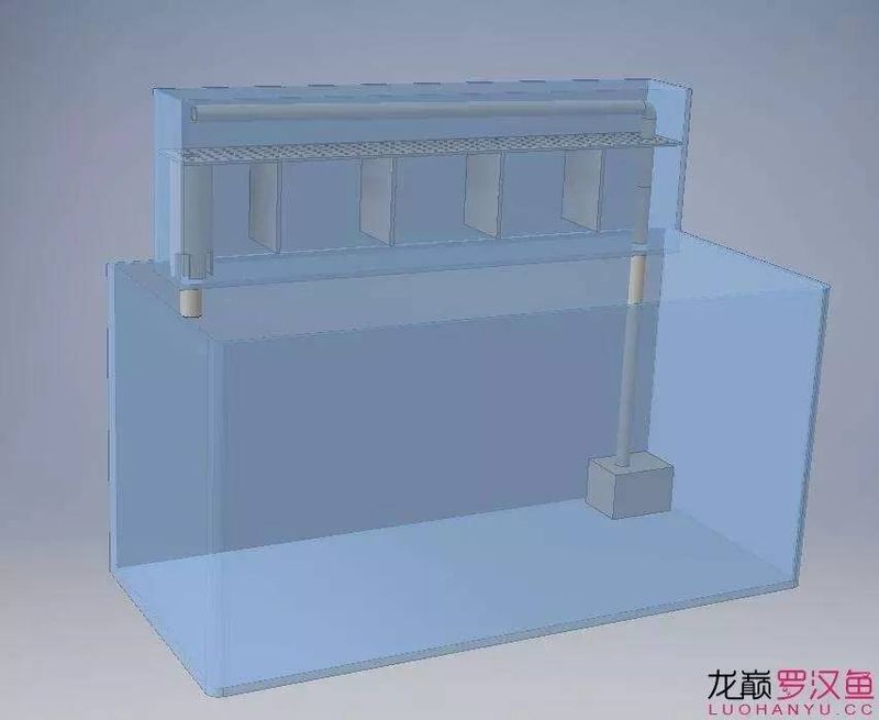 底滤鱼缸原理
