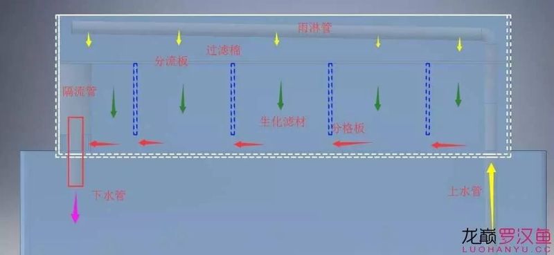 底滤鱼缸原理