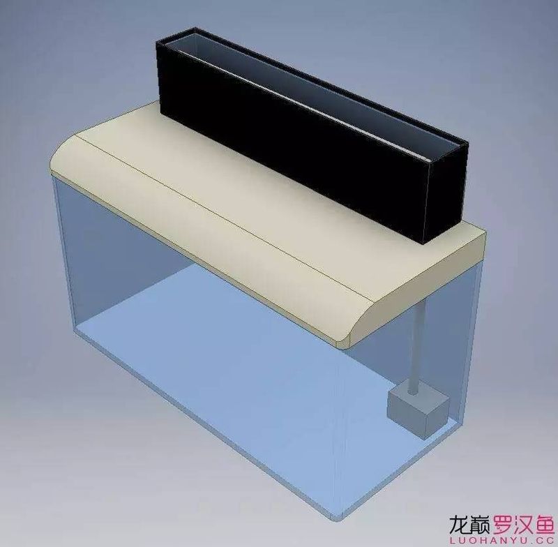 底滤鱼缸原理