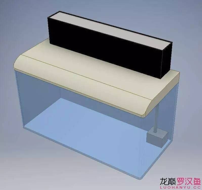 底滤鱼缸原理