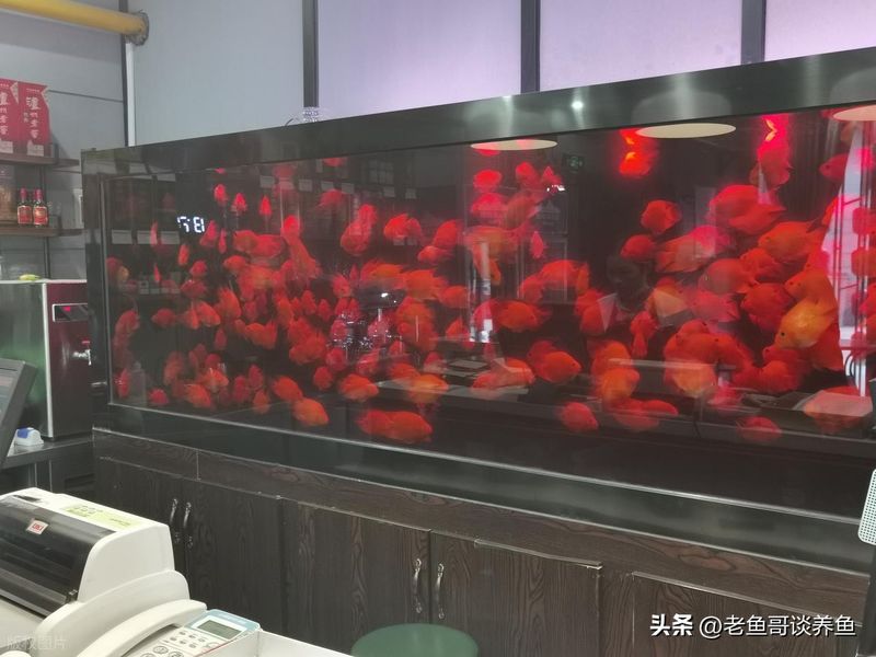 底滤鱼缸原理
