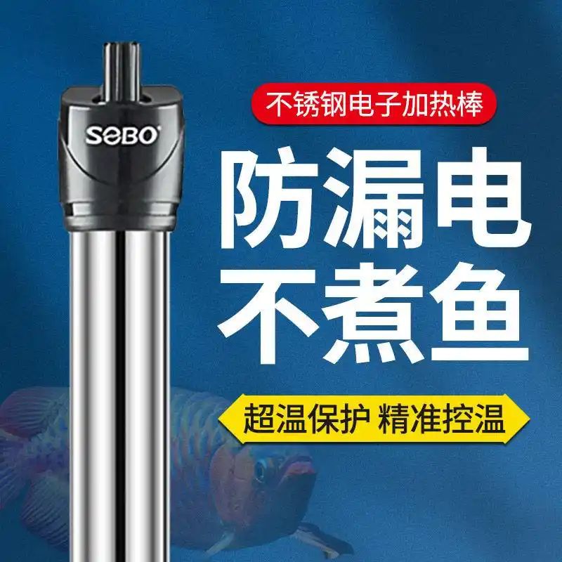 鱼缸养鱼知识全
