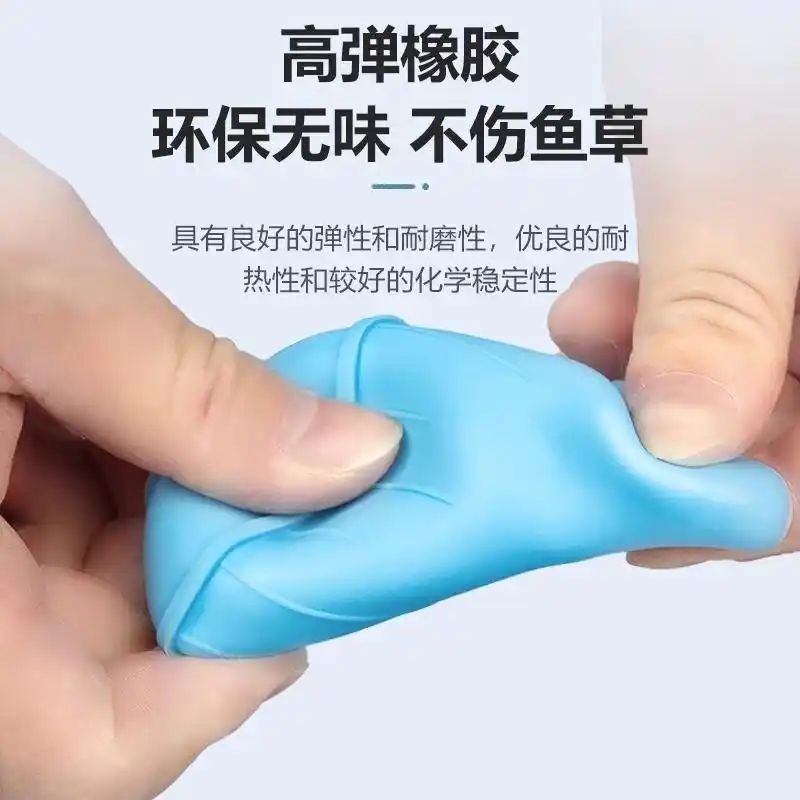 鱼缸养鱼知识全