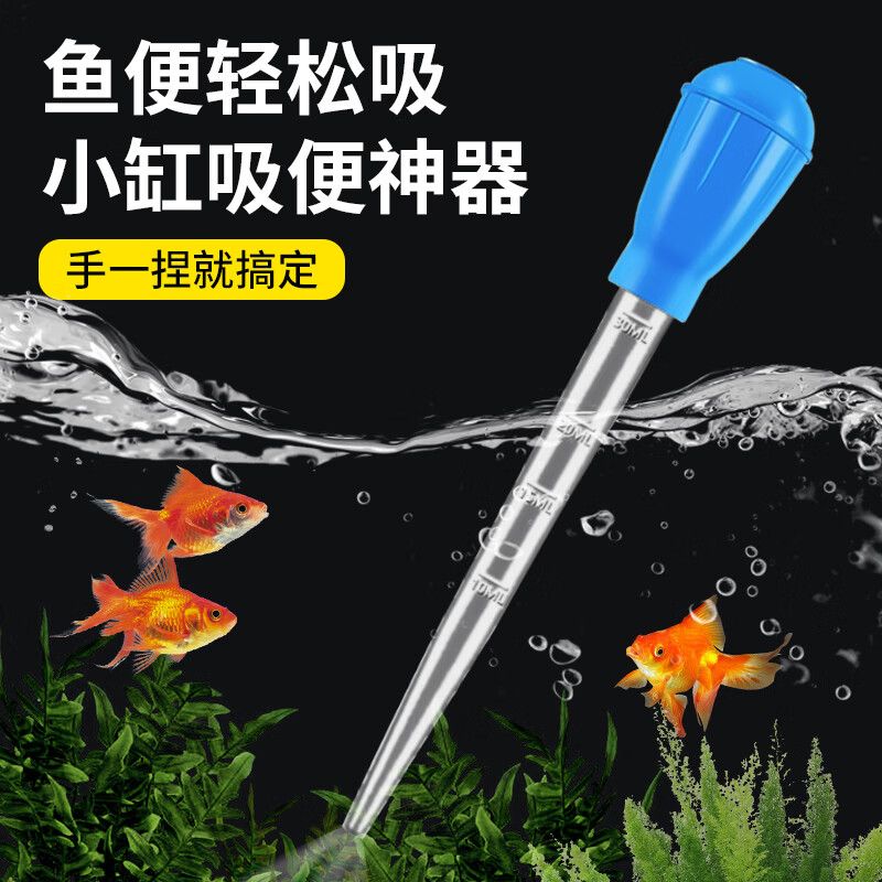 鱼缸养鱼知识全