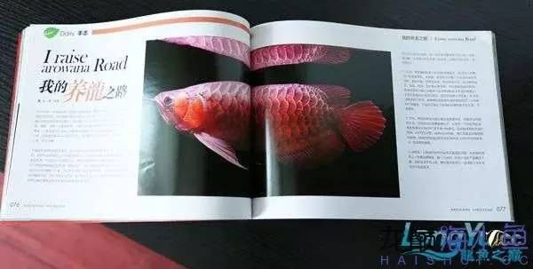 底滤鱼缸原理
