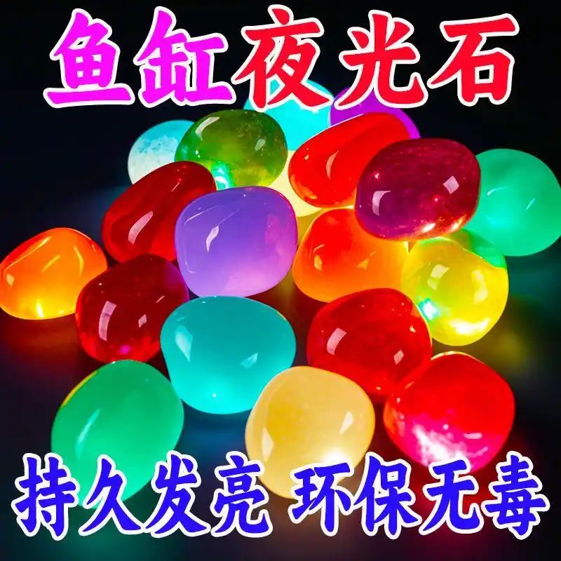 鱼缸养鱼知识全