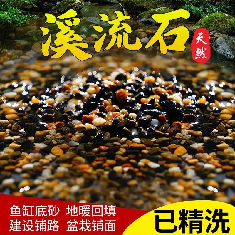 鱼缸养鱼知识全