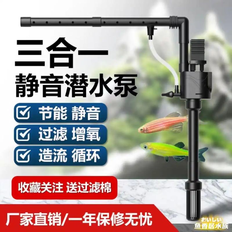 鱼缸养鱼知识全