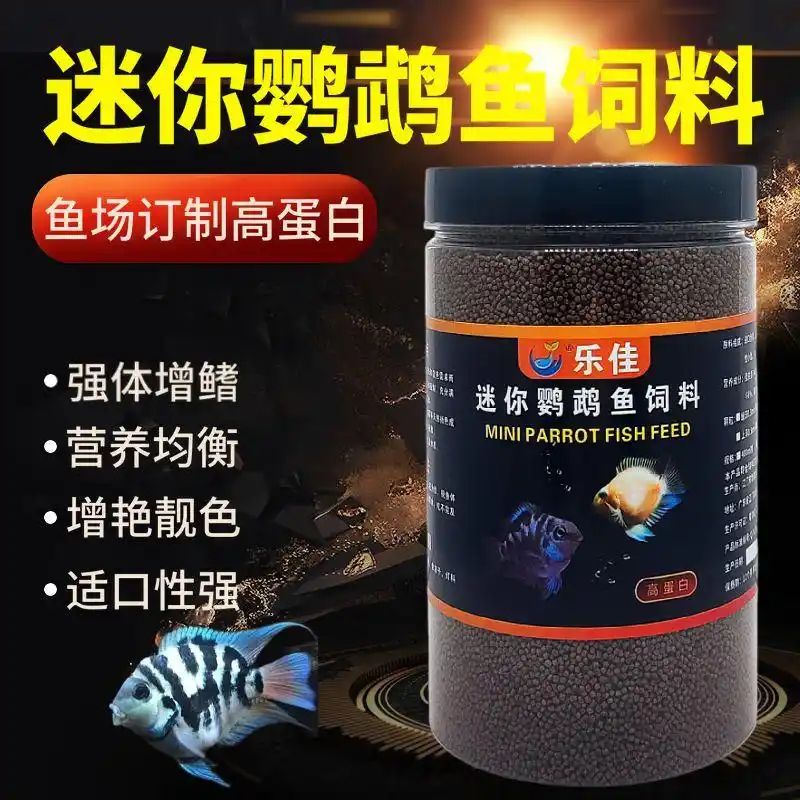 鱼缸养鱼知识全