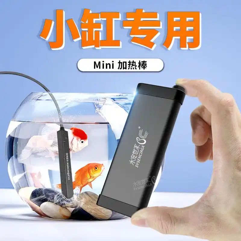 鱼缸养鱼知识全