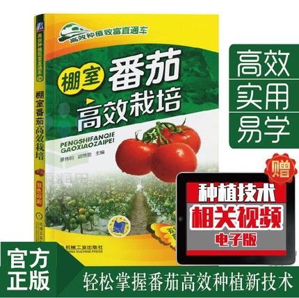 大棚西红柿|一6月种植技术视频