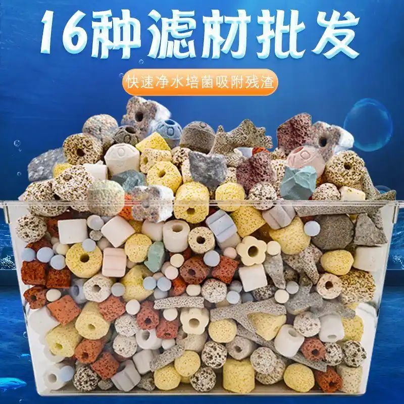 鱼缸养鱼知识全